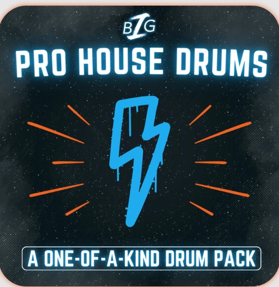 Big Z Sounds Big Z's Pro House Drums